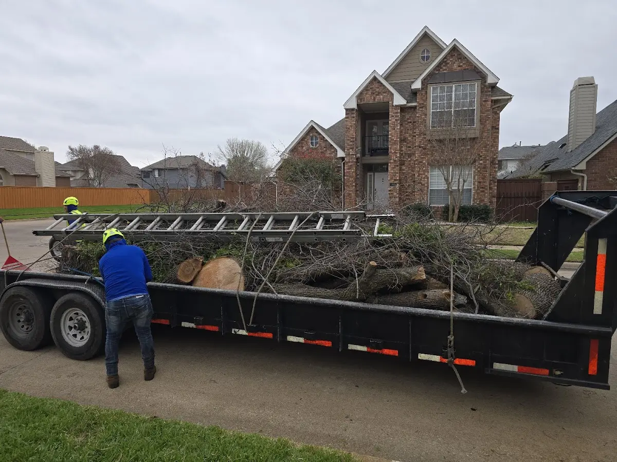 Expert Tree Removal with proper safety equipment in Lockport